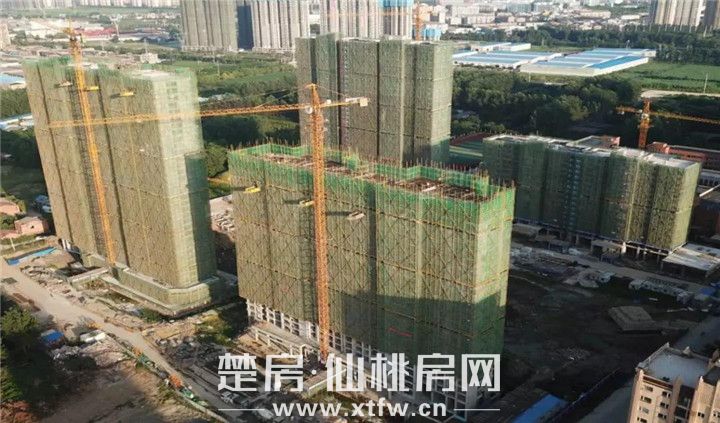 2019080510345077756tcy6m1.jpg 微信图片_20190805103210.jpg