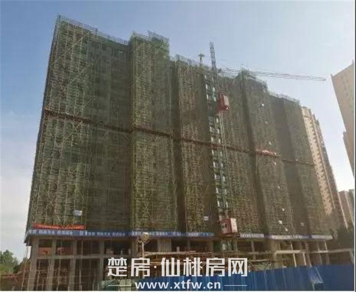 20190805103513330922orfku.jpg 微信图片_20190805103215.jpg