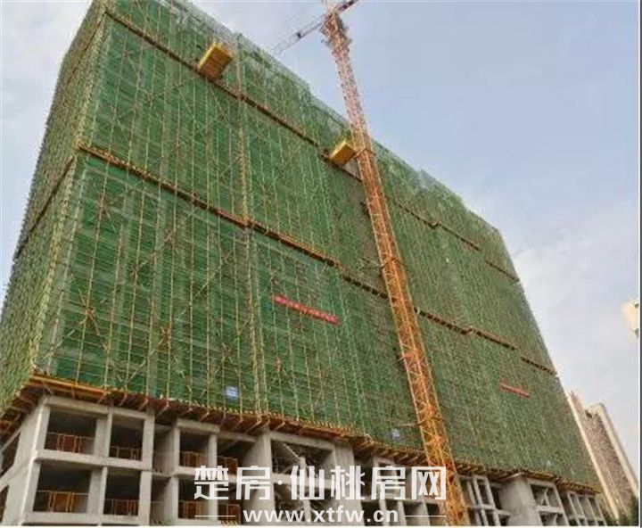 20190805103553602121jyzbi.jpg 微信图片_20190805103223.jpg