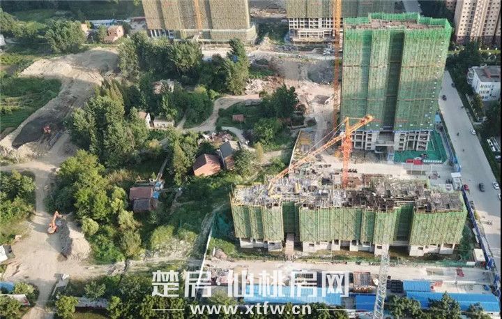 2019080510364798711vivv3x.jpg 微信图片_20190805103231.jpg