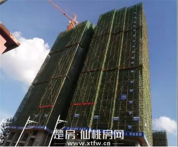 20190805103701700205aqpzv.jpg 微信图片_20190805103234.jpg