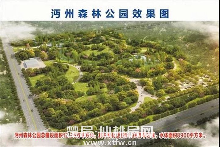 实拍！南城新区“仙桃之肺”沔州森林公园