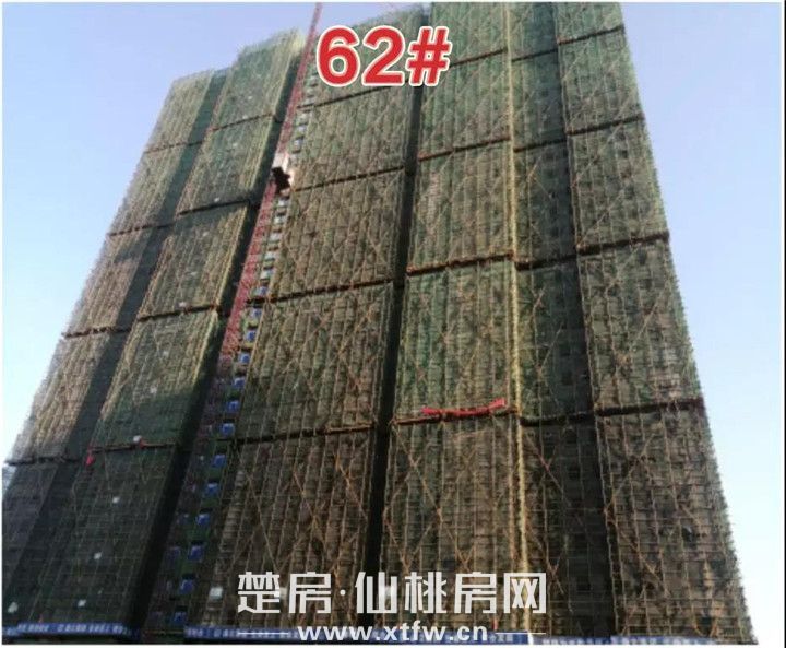 2019081910345265250rrg4nc.jpg 微信图片_20190819103029.jpg