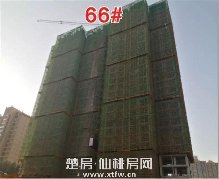 2019081910351342597mvfthw.jpg 微信图片_20190819103033.jpg