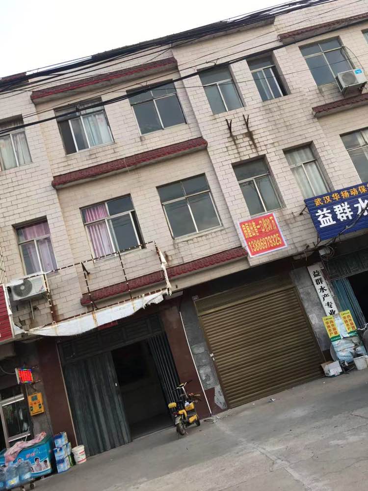 西流河二小对面学区房四层240平方