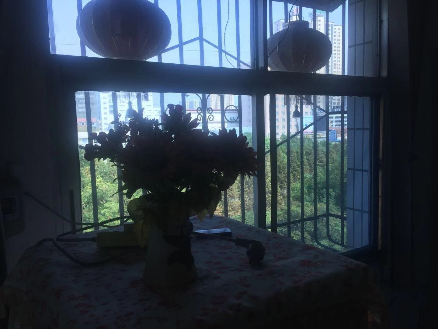 中药材公司新小区住宅楼