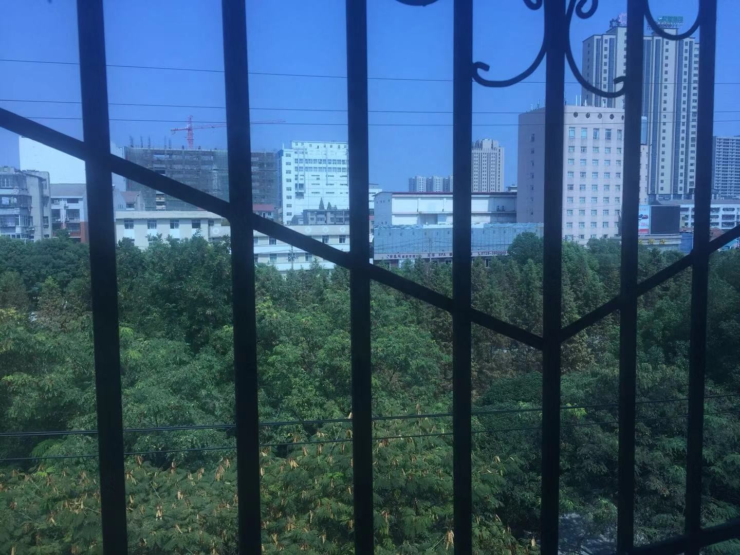 中药材新小区住宅楼