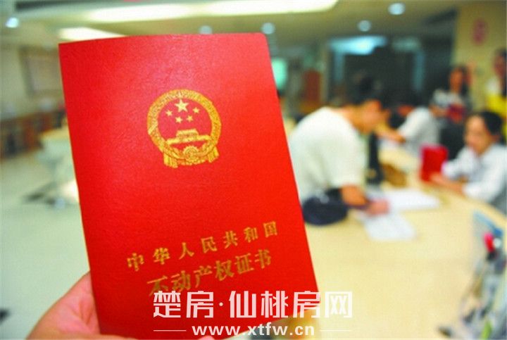 2019101116334124429sug2zq.jpg 图片2.jpg