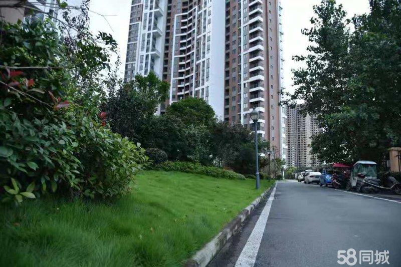 新妇幼附近，步梯加电梯，一手新房，支持按揭，户型超到位， ，菜市场就在旁边