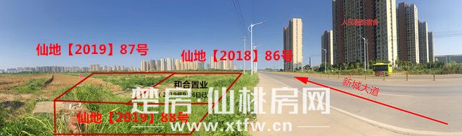 2019101816323481473peyi3l.jpg 5_副本.jpg