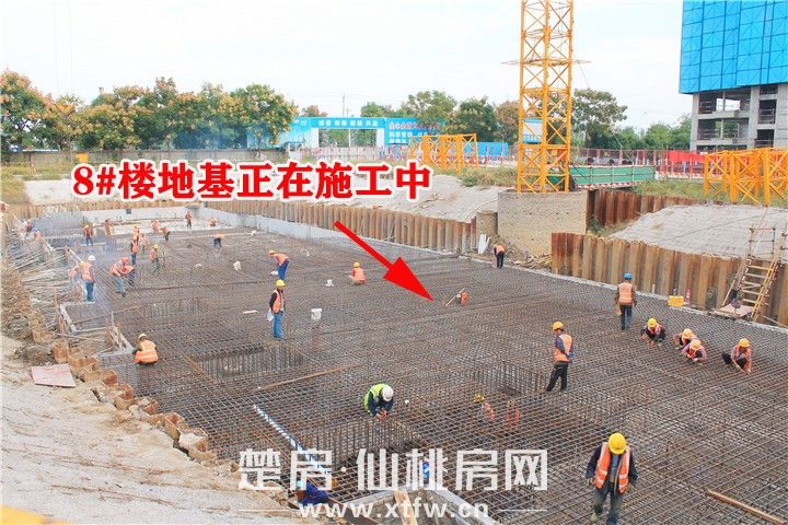 2019101916505633173oznlpy.jpg 8#.jpg