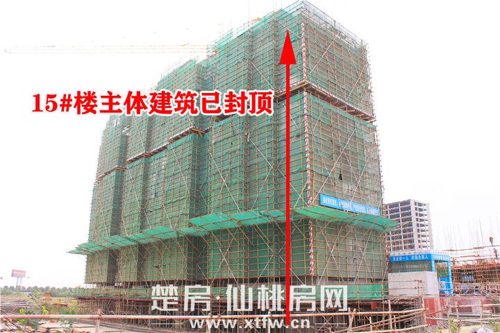 20191019165428428452vov7a.jpg 15#.jpg