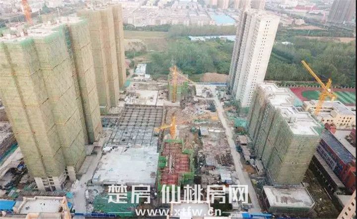 201910281041186903433eiuf.jpg 微信图片_20191028101705.jpg