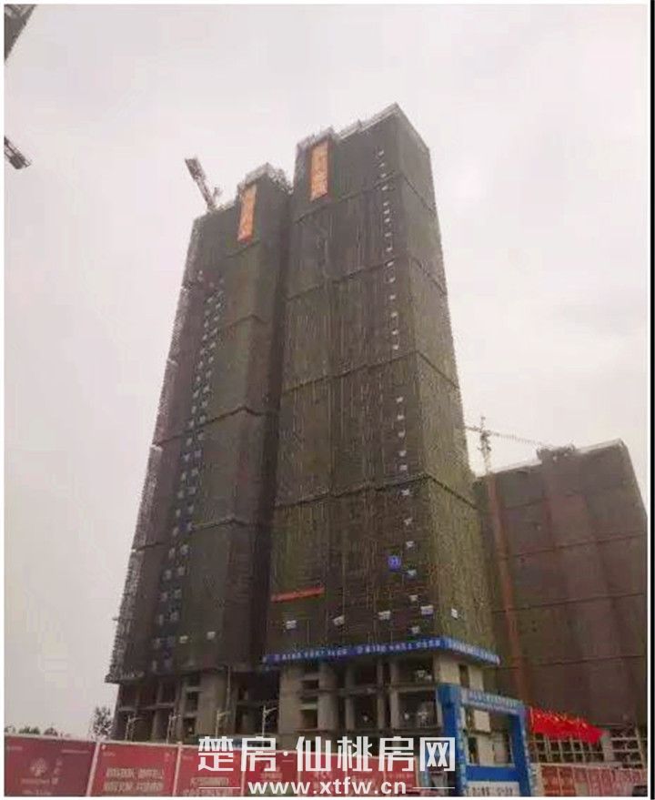 2019102810481339829c645vh.jpg 微信图片_20191028101729.jpg