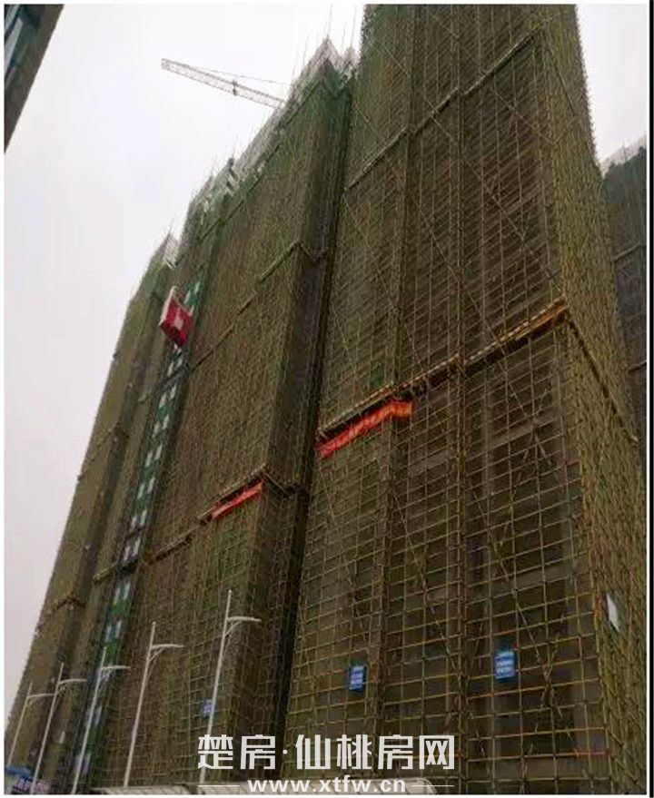 20191028104846920913hcvmc.jpg 微信图片_20191028101734.jpg