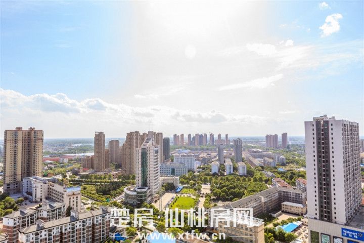 2019102917275516164rdqiwu.jpg 图片19.jpg