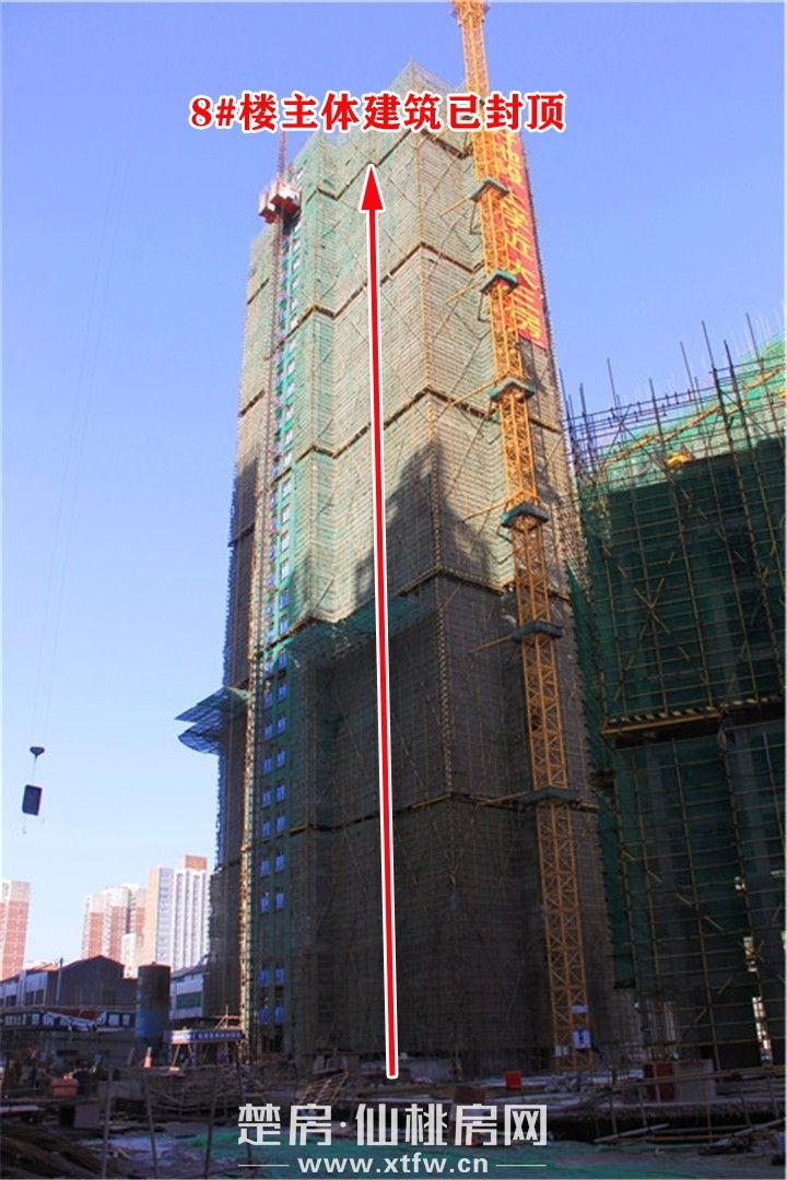 20191115094817475426vbeiv.jpg 8#.jpg