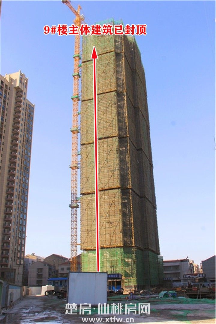 2019111509482756039guansl.jpg 9#.jpg