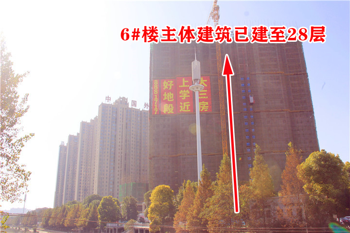 幸福“家”境|康湾熙岸11月工程进度播报