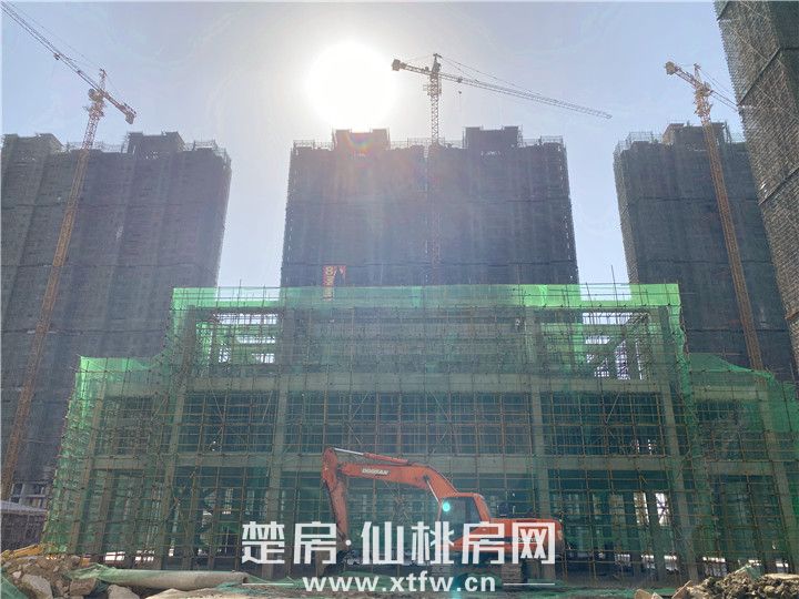 2019111511271917357iteiie.jpg 主入口.jpg