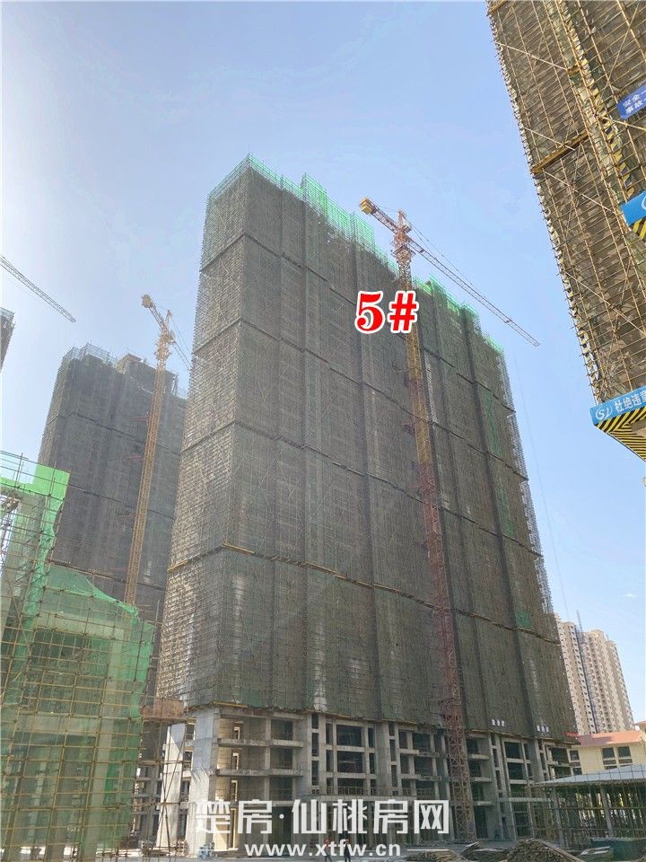 2019111511361221068e1eyfu.jpg 5#.jpg