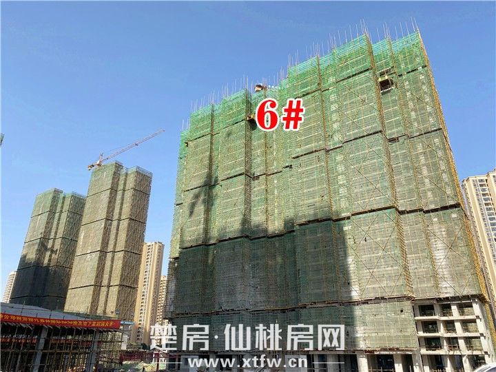 2019111511362458196gjoyhr.jpg 6#.jpg