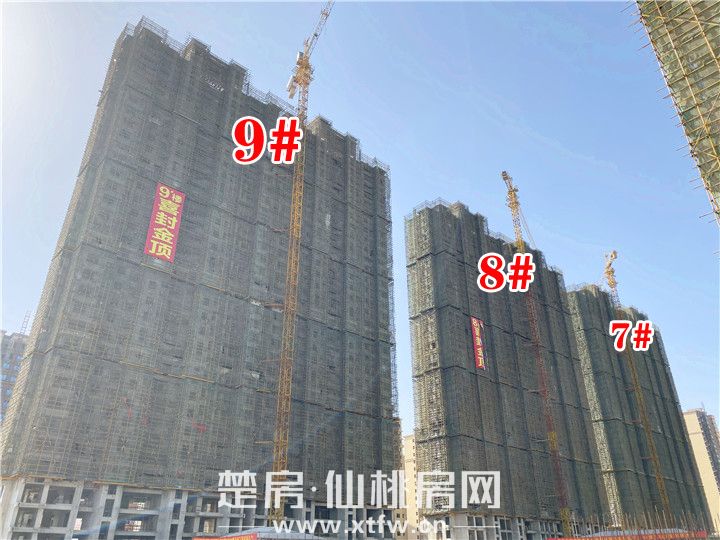 2019111511364257252bqvyob.jpg 9.8.jpg