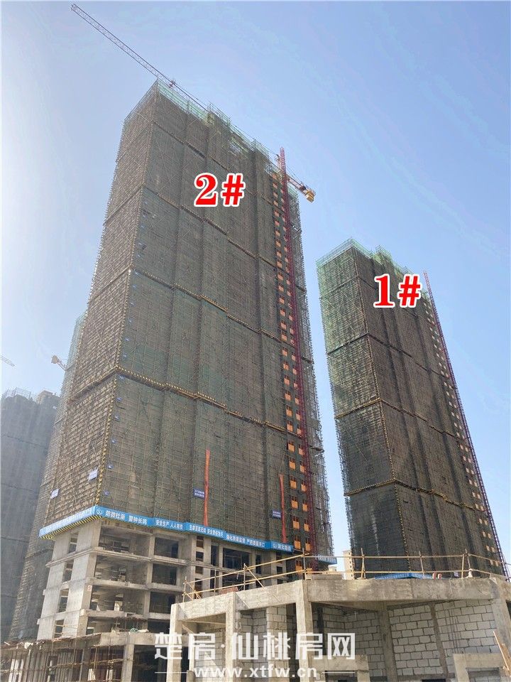 2019111511441270360kwgred.jpg 左2右1.jpg