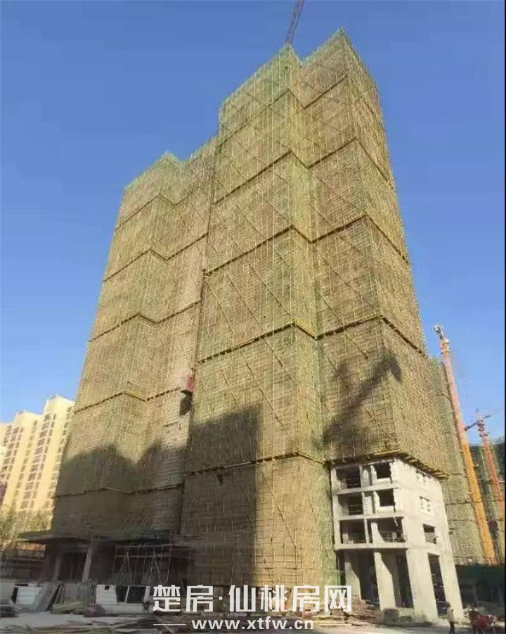 2019111810384979723rch2bs.jpg 微信图片_20191118102609.jpg