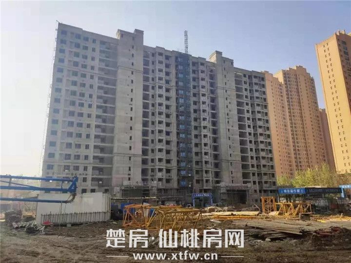 2019112510160528072etmf9y.jpg 微信图片_20191125100941.jpg