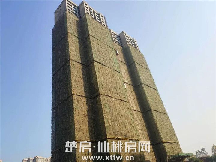 2019112510170525329sqyrpj.jpg 微信图片_20191125100952.jpg