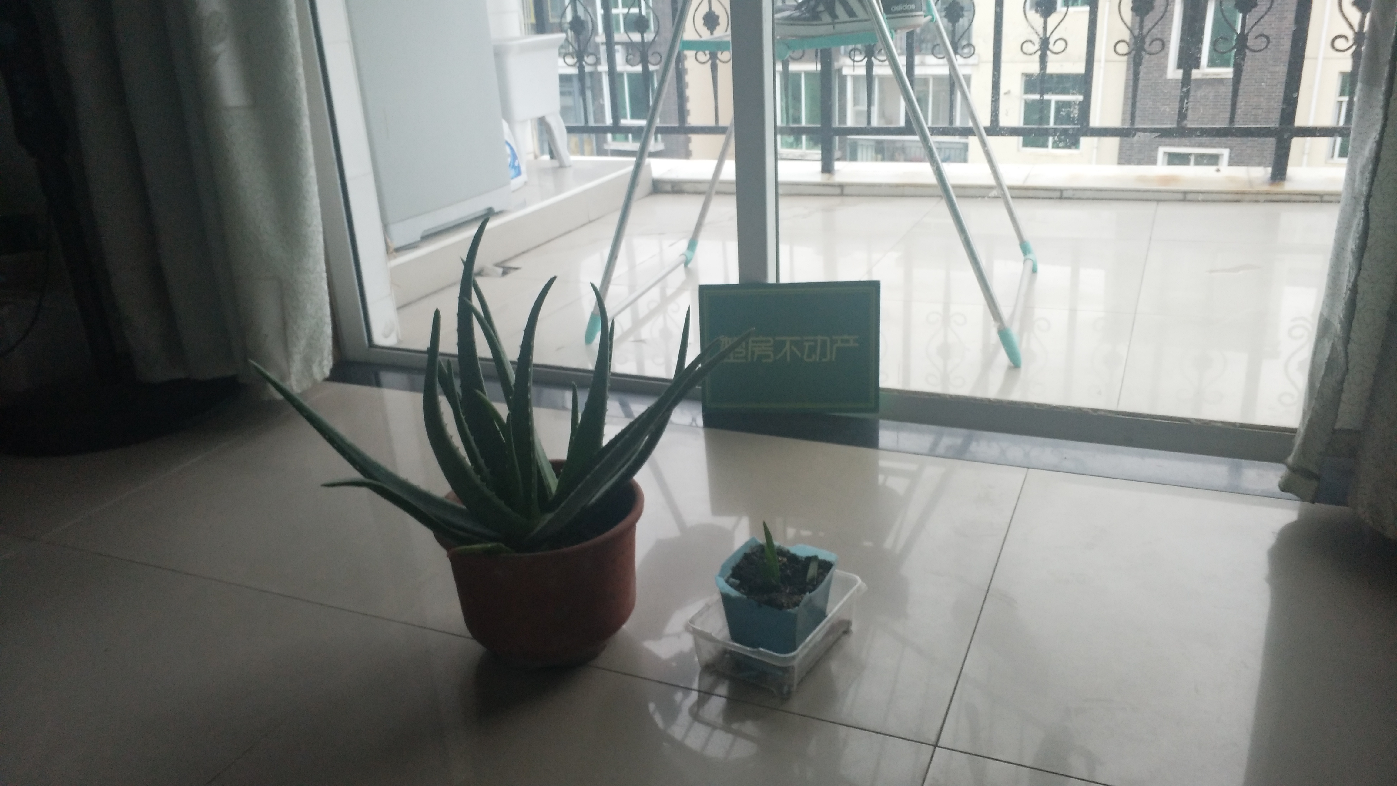 一中花园好房出售