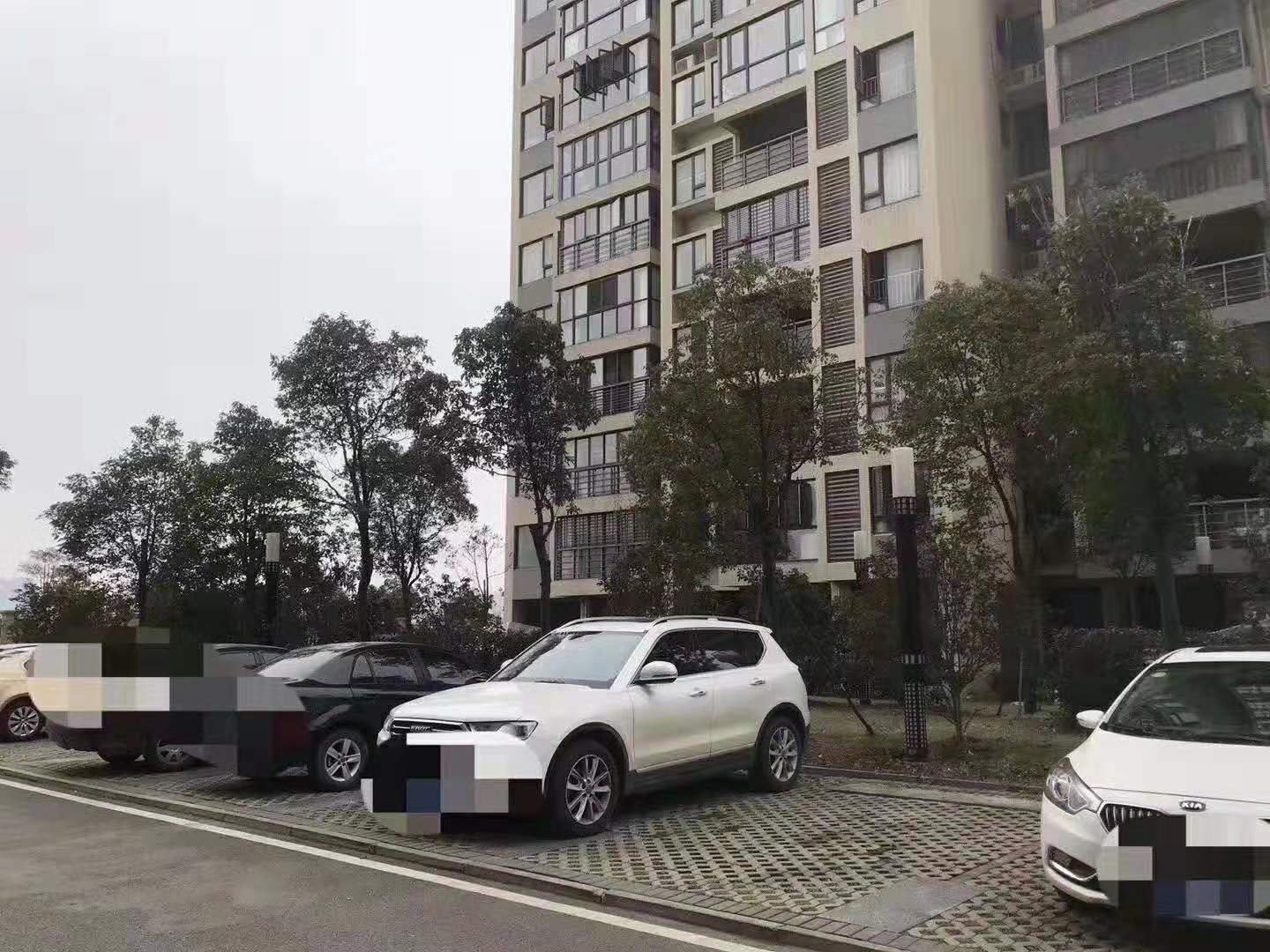 城南 地段全屋智能精装一天未住中间楼层停车方便