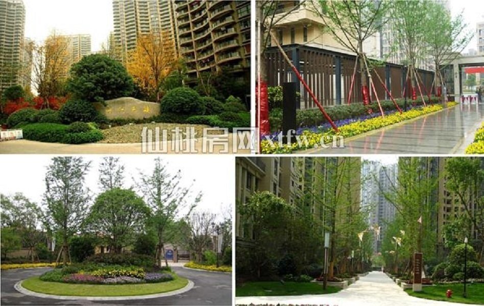 城西时代天骄电梯现房93-151平总有你的需求小区绿化高价格低只要5200就可以拥有自己的家不收中介费找我团购价格有优惠看房免费接送