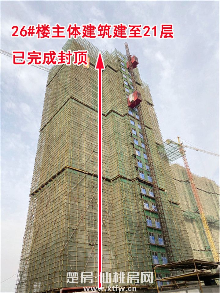 2019121316385428825ouokk2.jpg 26#.jpg