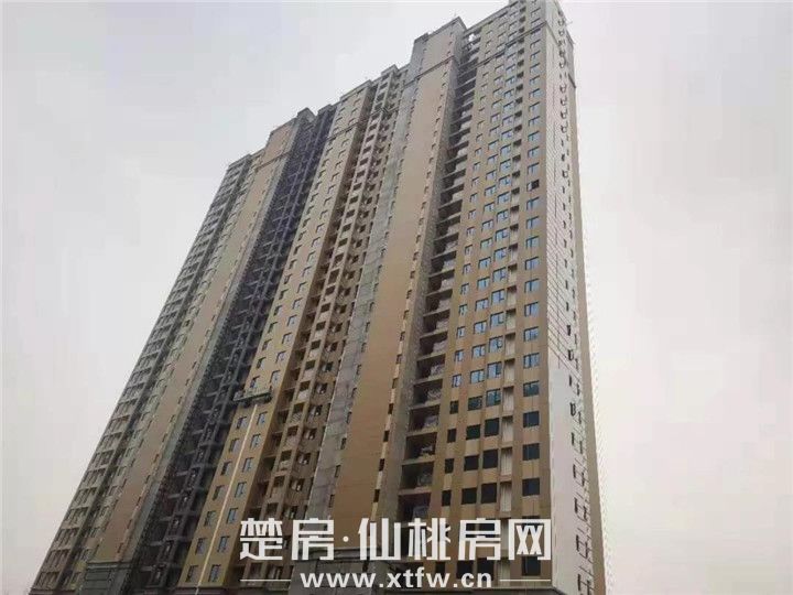 2019122309180995891zvsyvx.jpg 62.jpg