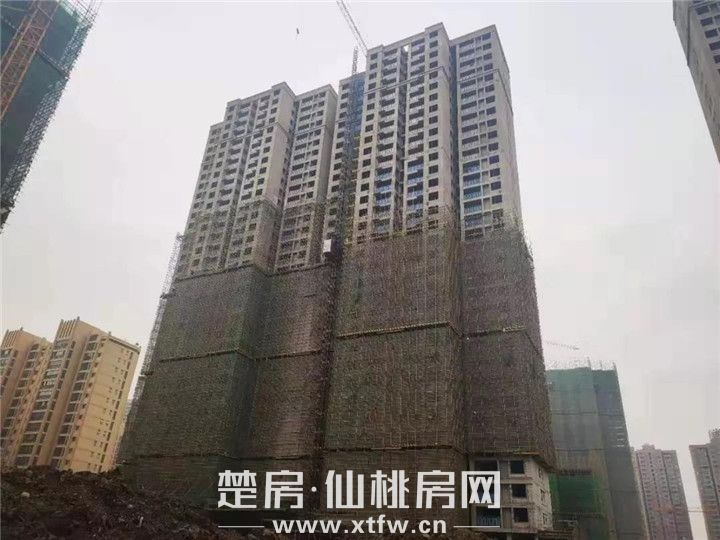 2019122309183953796mkrg6m.jpg 66.jpg