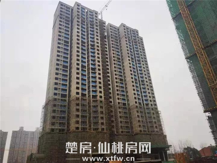 2019122309185735587fa1gpx.jpg 67.jpg