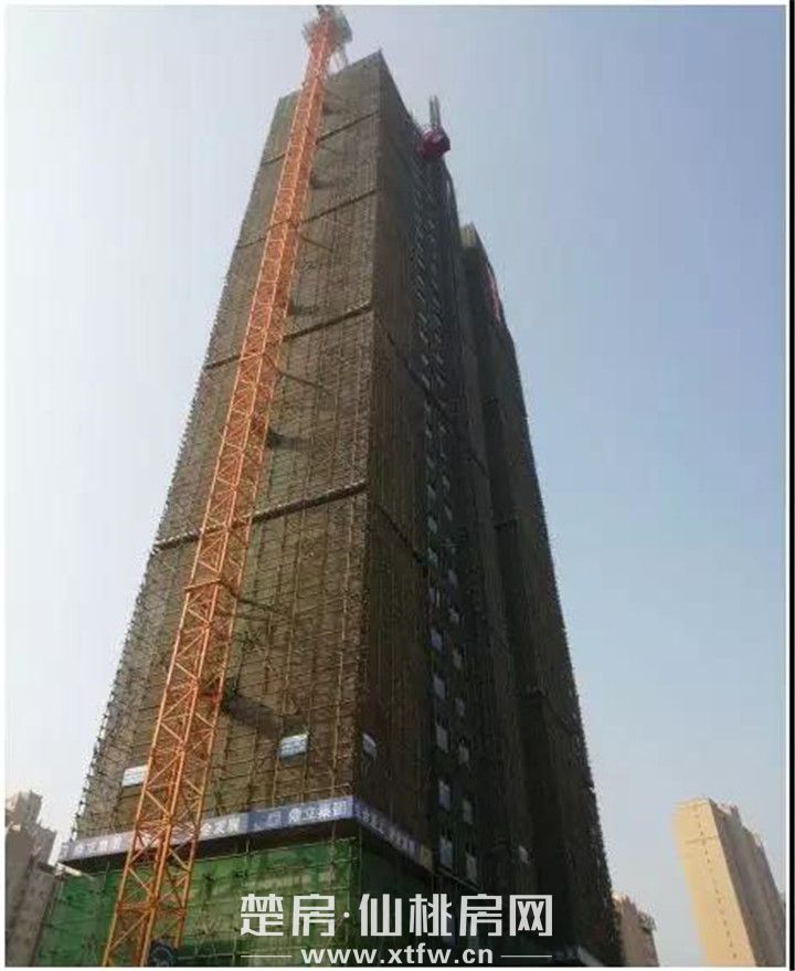 2019122309192164248t6aifa.jpg 73.jpg