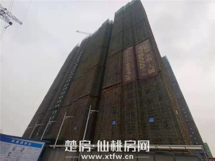 2019122309194724095wsoej4.jpg 76.jpg