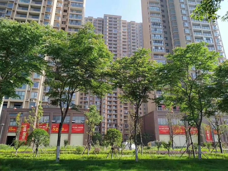 紫润尚城一手现房9套特价4688一平户型8489101平上仙桃实验 零中介费！！！