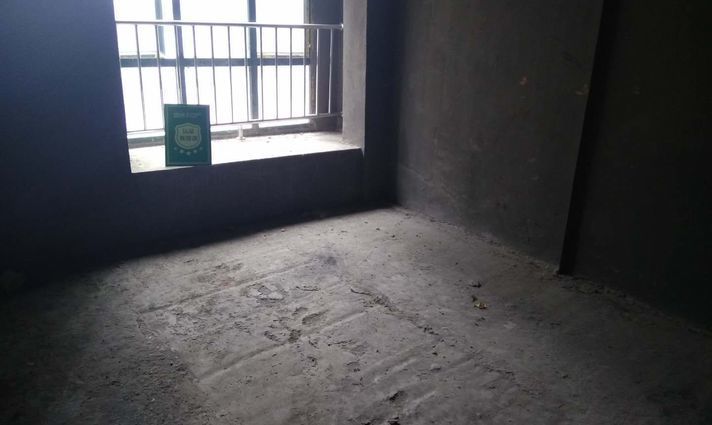 森林国际毛坯优质 房站在自家的孩看未来随买随装过户方便