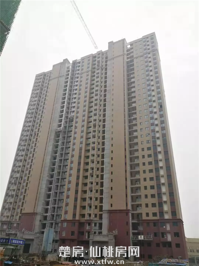 2020010615391777405gnlmgv.png 1578295562(1).png