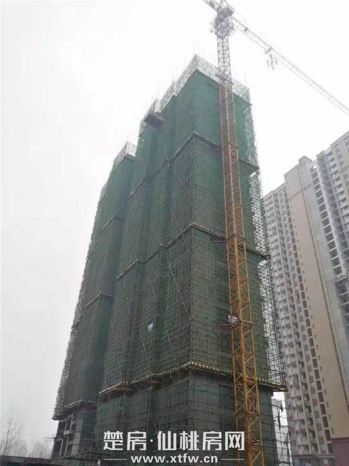 2020010615395782222m9kqex.png 1578295581(1).png