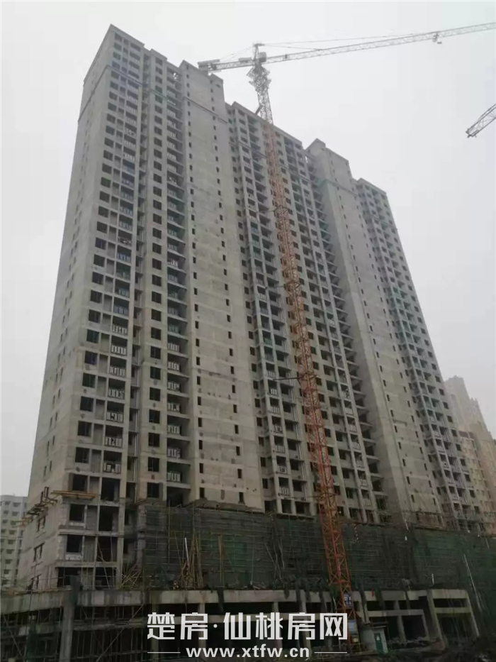 2020010615411772374juiadd.png 1578295598(1).png