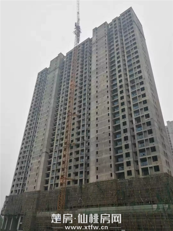 2020010615415541190gov1ql.png 1578295744(1).png