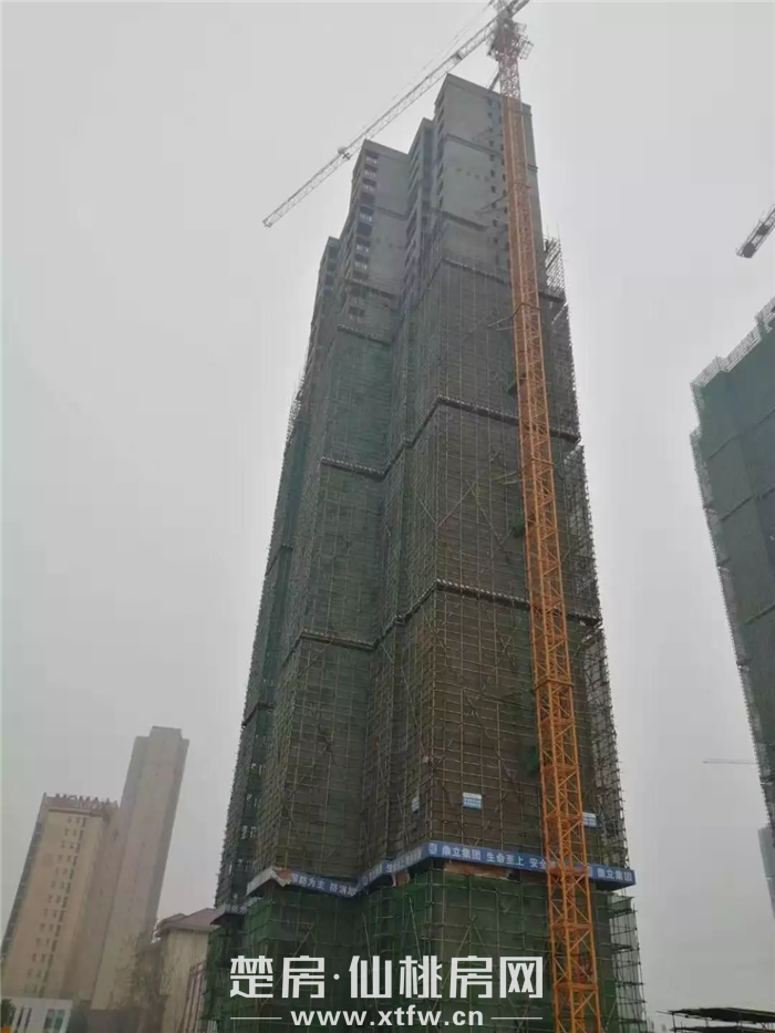 20200106154216106059tvxki.png 1578295758(1).png