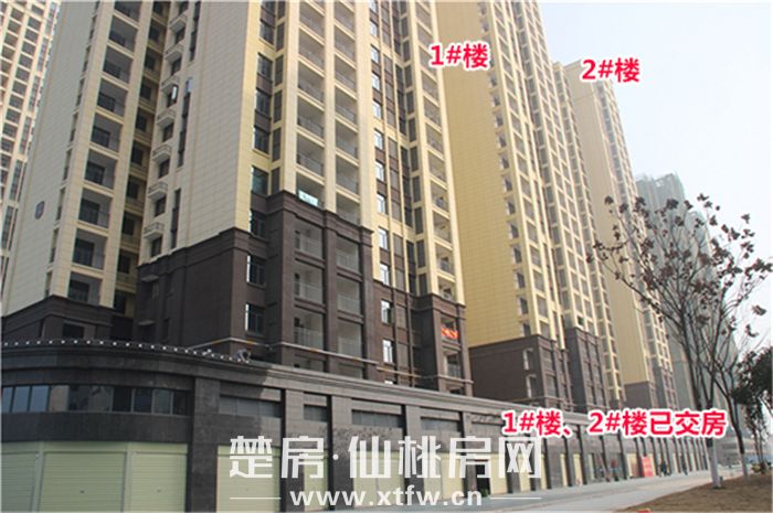 2020011417300971600zkioba.jpg 1.jpg