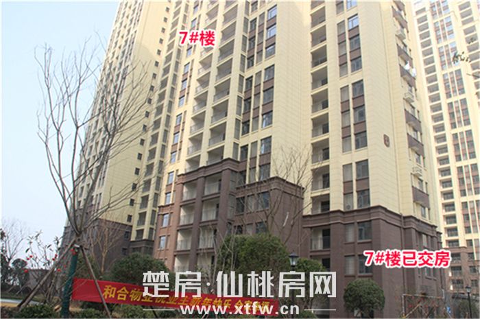 2020011417312346980wdvead.jpg 2.jpg