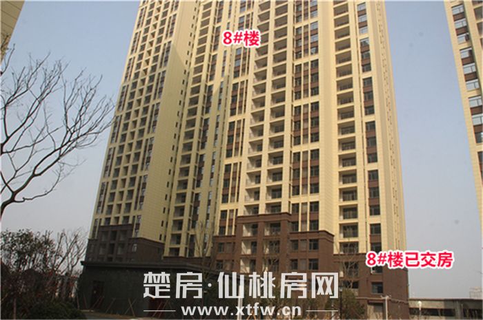 2020011417315082140yu1adq.jpg 3.jpg